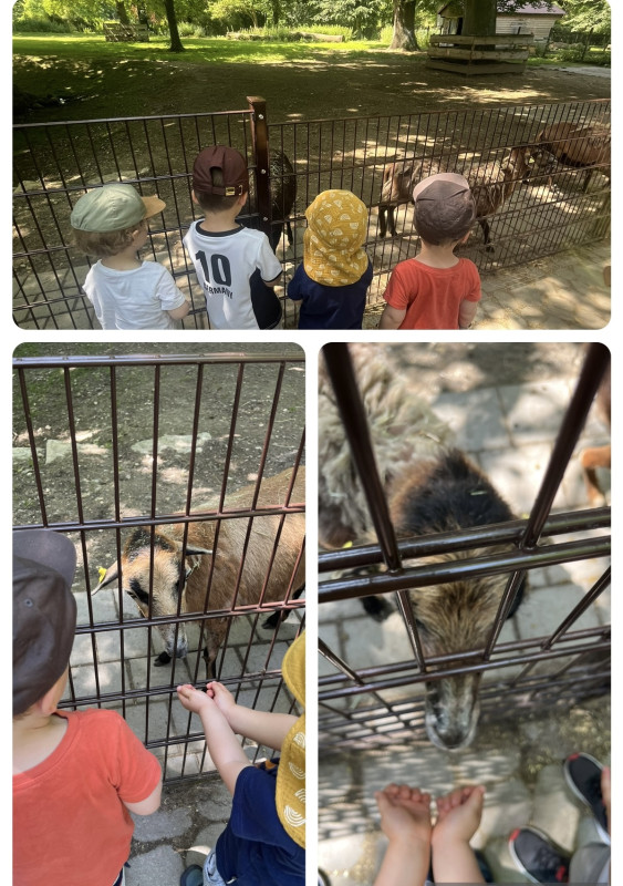 Tierpark Ulm