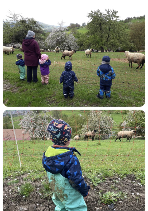 Besuch im Naturkindergarten