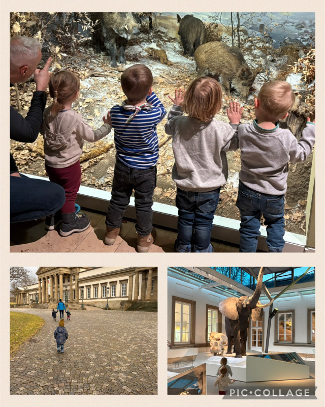 Naturkunde Museum Stuttgart