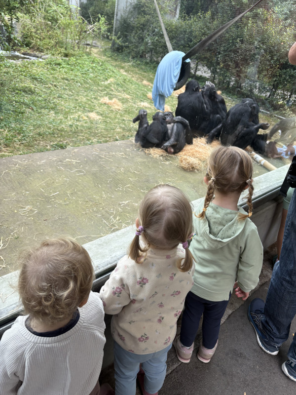 Wilhelma Stuttgart 2025