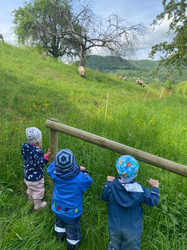 wir lieben die Natur